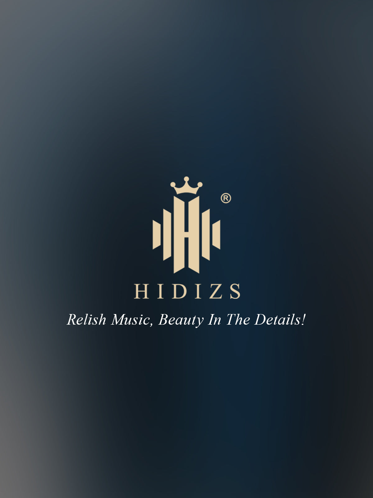 HIDIZS-AP80_PRO-X_LEATHER_CASE-M-23031002