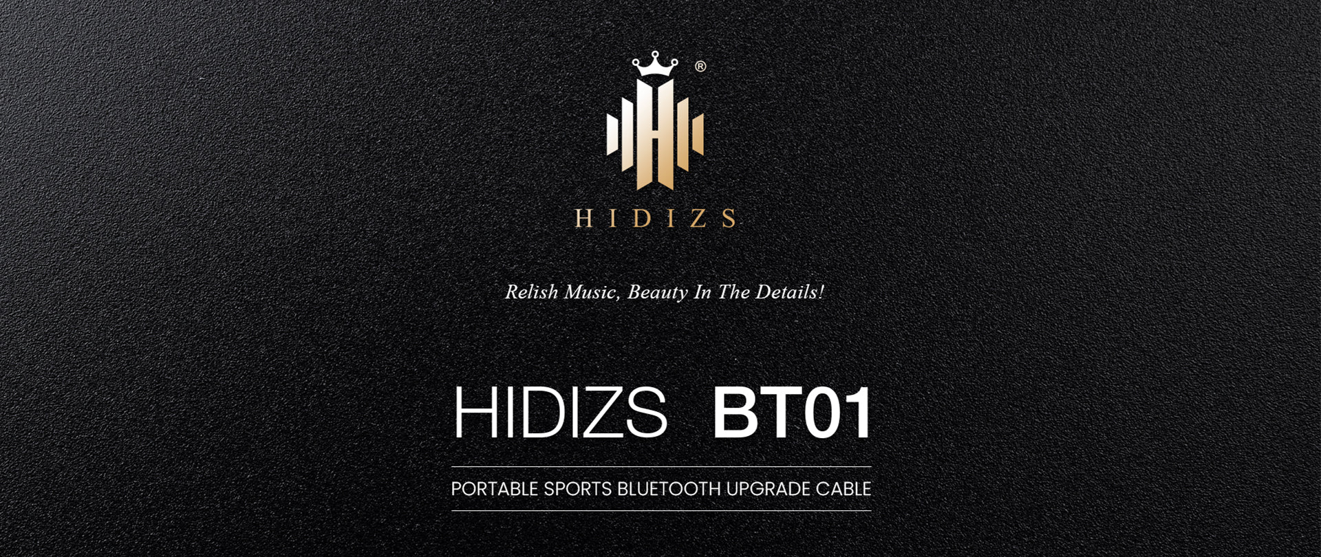 HIDIZS-BT01-PC-23032701